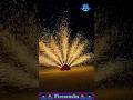 Fireworks Show 🎆 Atosh Baji 🎇 Patakha 🧨 #shorts #fireworks #halercm
