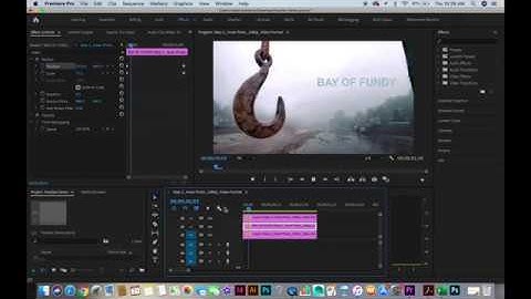 2D Parallax Animation - Part 2: Premiere Photo Animation