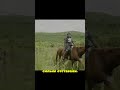 Может ли человек обогнать лошадь на марафоне?