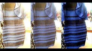 Whats the Color of The Dress?