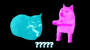 7 "maxwell the catand dog dancing" sond variations in 38 sec