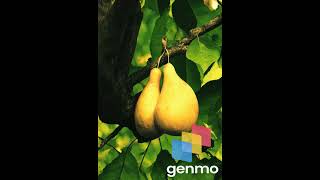 Time Lapse of Jack Fruit Growing #timelapse  #jackfruit