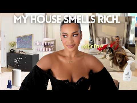 My Home Smells & Looks Expensive With Dogs! | Home Hygiene Routine
