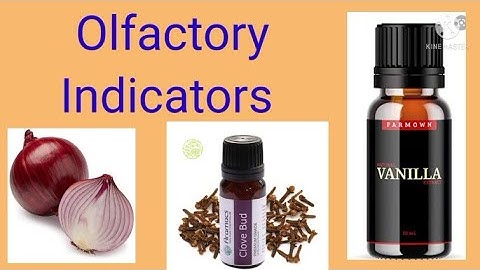 Acids, Bases and Salts, Part-3 (Olfactory indicators) Grade - 10, Physical Science.