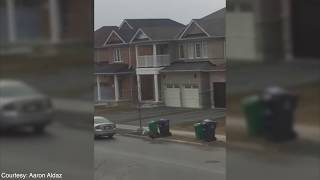 Man chased by wild turkey in Brampton Aggressive Turkey Caught On Video Chasing Man Around Car