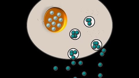 Sepsis Biomarkers_Overview_Dr Pradeep Rangappa