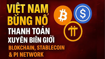 💥 Việt Nam Bùng Nổ Thanh Toán Xuyên Biên Giới Với Blockchain-Stablecoin & Pi Network!