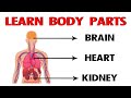 Learn Body Parts in English | Learn Human body | Parts for the body in English | Preschool Learning