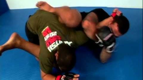 Fabricio Werdum Video-on-Demand Seminar