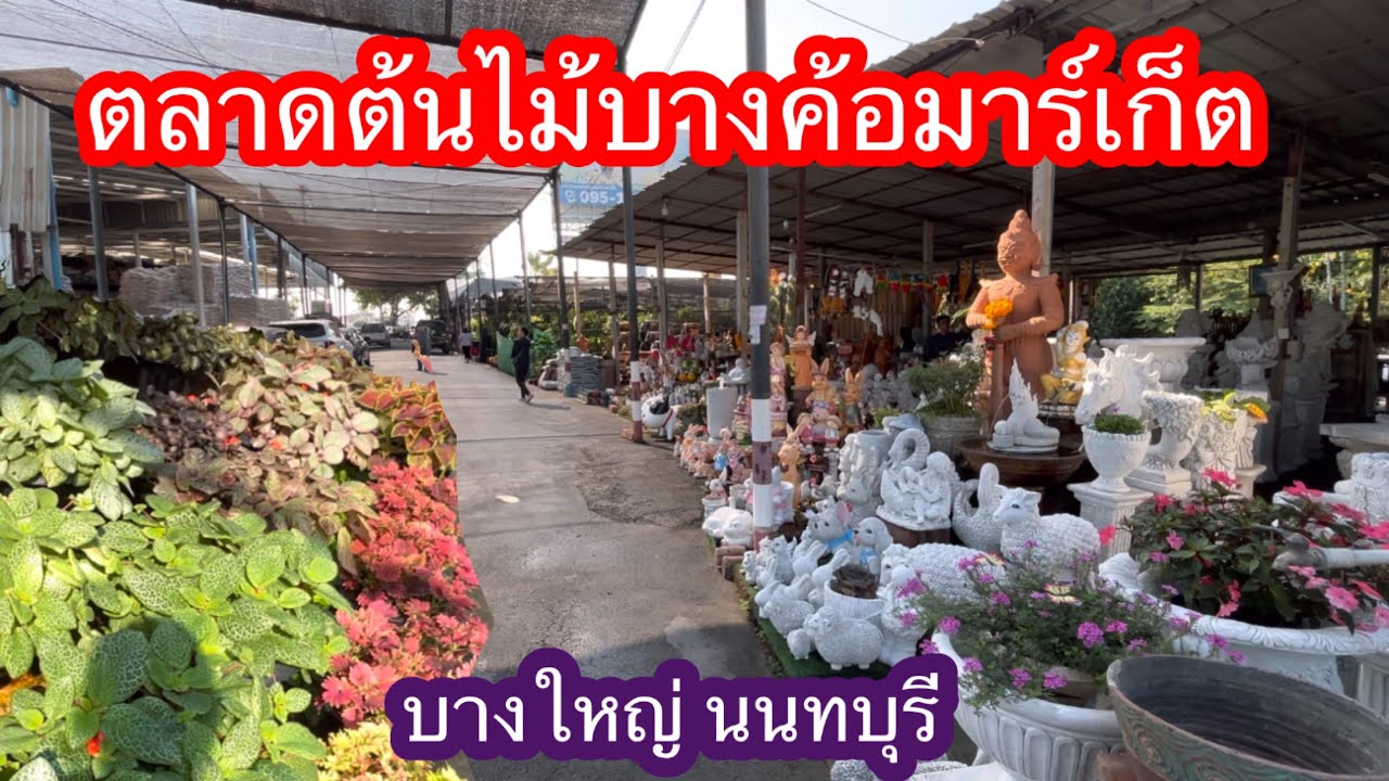 ตลาดต้นไม้บางค้อมาร์เก็ต อ.บางใหญ่ จ.นนทบุรี
