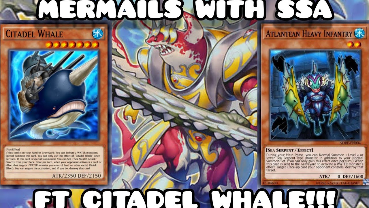 yugioh citadel whale deck • LED9-EN026 • C – _code_cards(CR) Oh trading and collectible card game (TCG/CCG) Citadel Whale Yu-Gi-Oh! card like