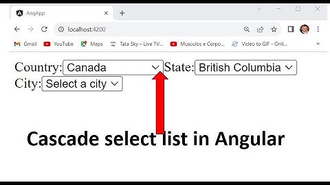 Cascade Select List like Country state and city in Angular..