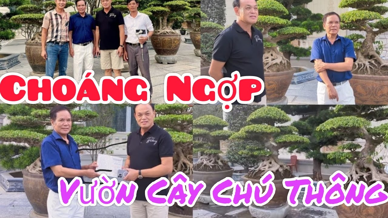 Cả đoàn choáng ngợp trước hàng trăm TP đặc sắc. Chú Thông Mơ nhận lời mời mang 5 tp tới TL HD