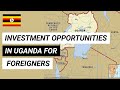 Business opportunities in Uganda for African Diasporas. Business ideas in Uganda 2020.