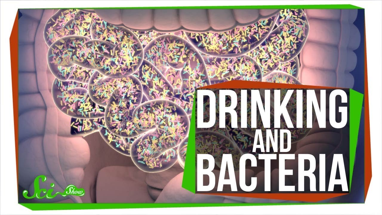 Does Alcohol Kill Good Bacteria in Gut?