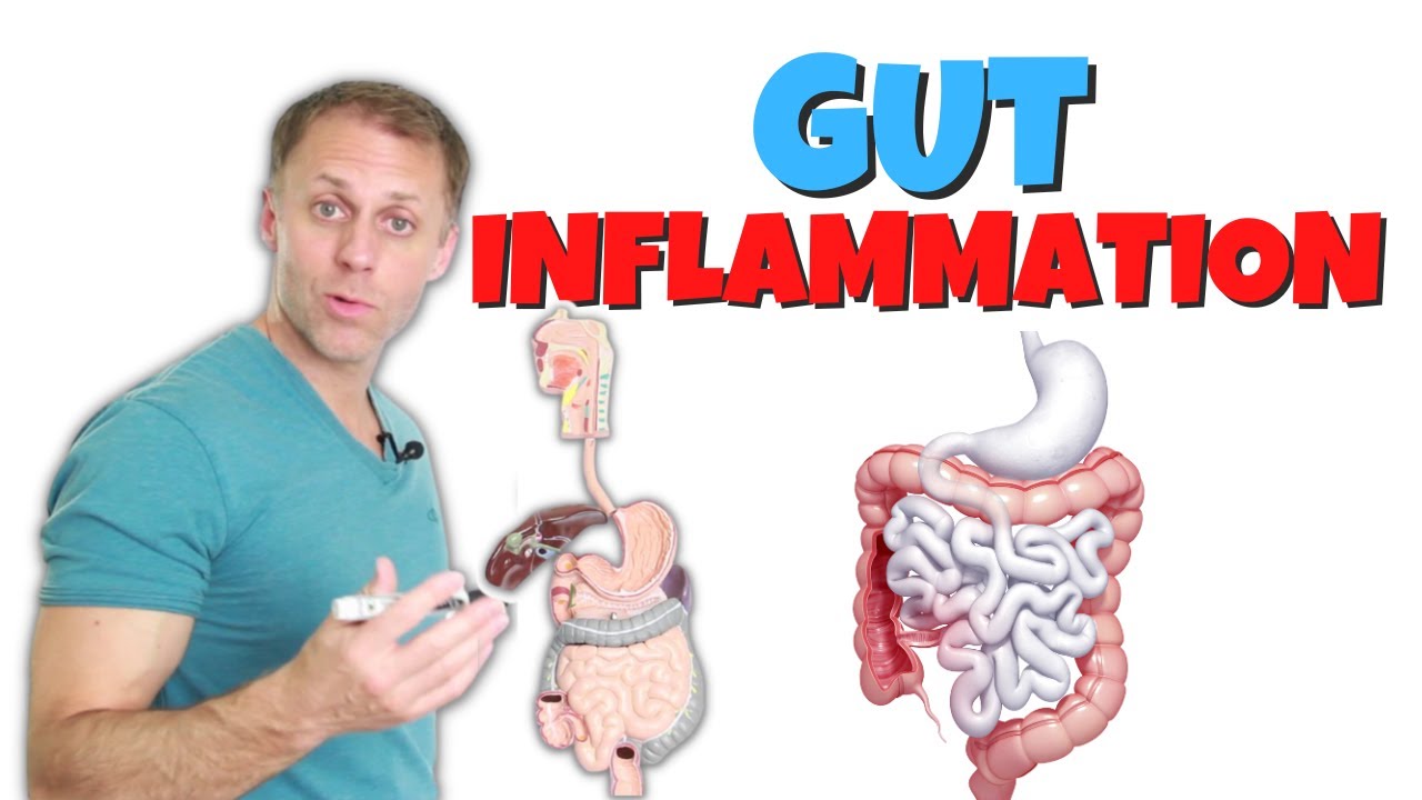 Improving Gut Inflammation