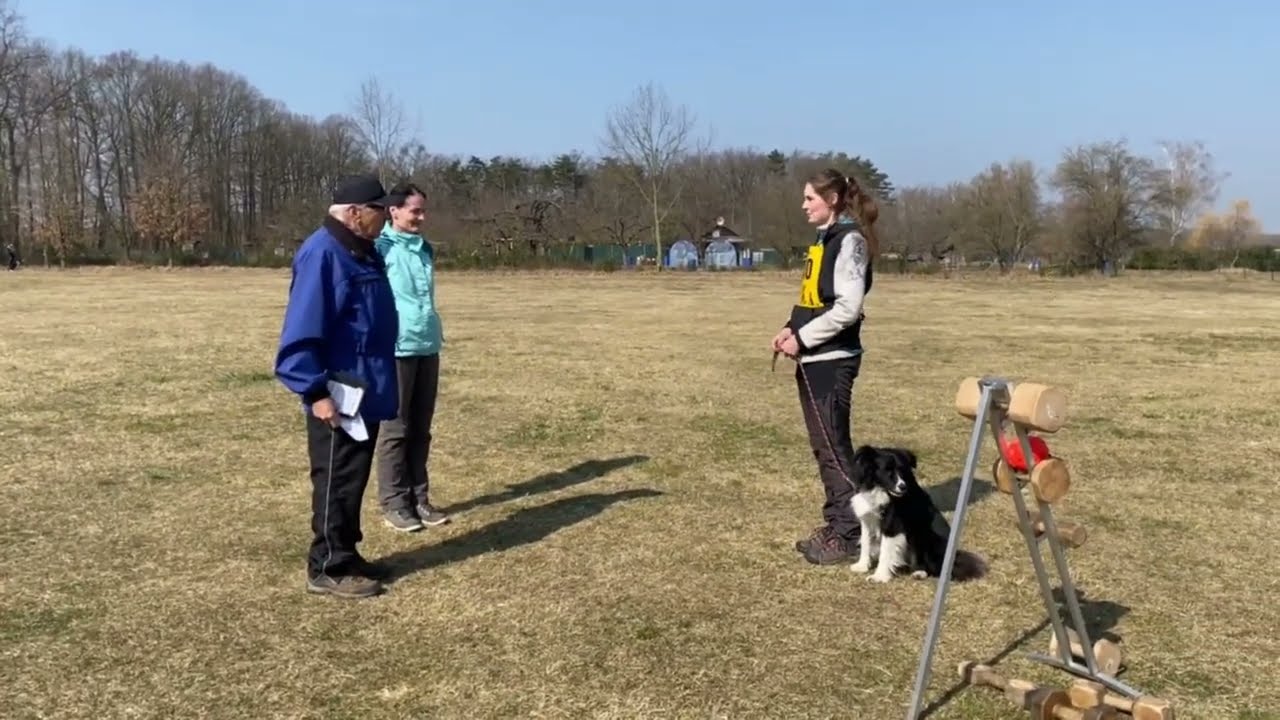 Charmed by Life z Černobílých - training on exam ZZO1 - 26.3.2022