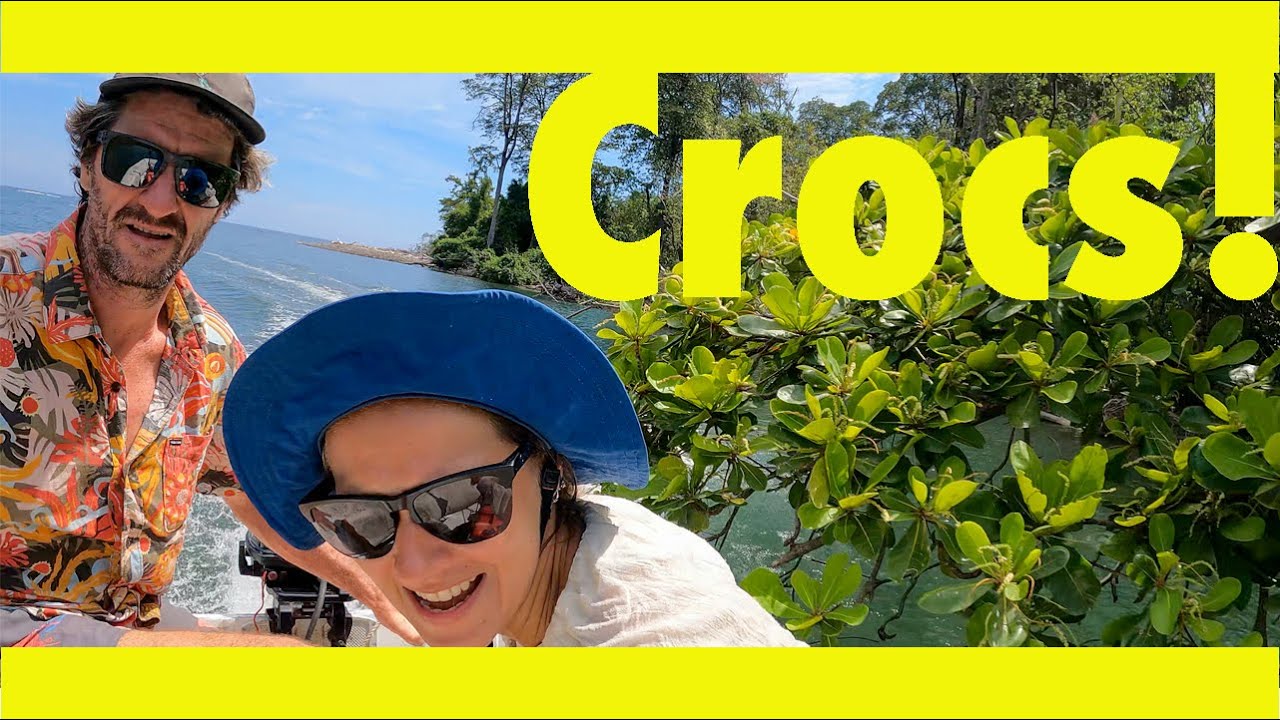 Crocodiles too close for comfort! (Learning By Doing Ep161)