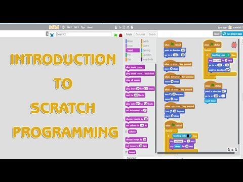 ვიდეო: რას აკეთებს სკრიპტი ან პროგრამა scratch-ში?