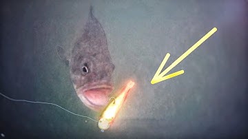 The Best Fishing Lure I