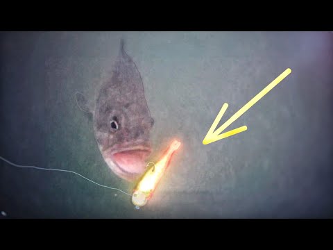 The Best Fishing