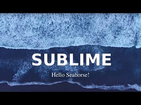 Hello Seahorse! - Sublime (Video Oficial)