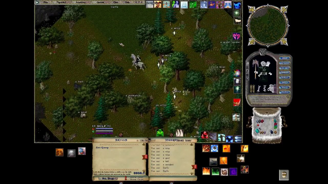 Ultima Online Excelsior How to get to the Newbie Champ Spawn YouTube