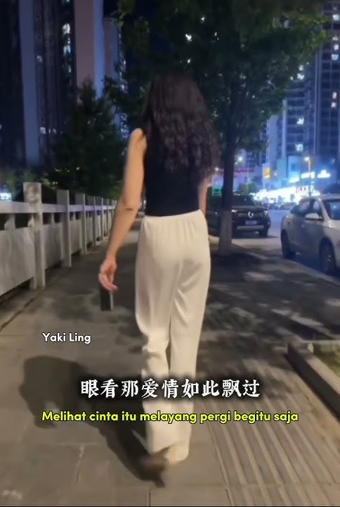 Ta De Bei Ying - 她的背影 #yakiling