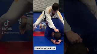TRY THIS TURTLE ATTACK 🐢