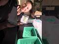 Tonight I am sowing some Lemon grass seeds before bed. Germination time is approx 5-20 days.