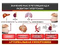 Гипертензия. Каф патофизиологии л/ф МГМСУ