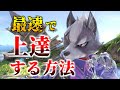 スマブラSP 初心者から上級者まで 最速で上手くなる上達法を レート2200ウルフが解説します スマブラSP 初心者から上級者まで 最速で上手くなる上達法を レート2200ウルフが解説します