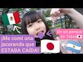【Tokio🇯🇵】Japonesa se comió una flor de jacaranda caída😂【ESP SUB】