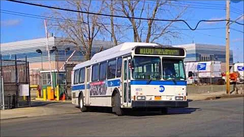 Orion V CNG Ex Private Lines Tribute