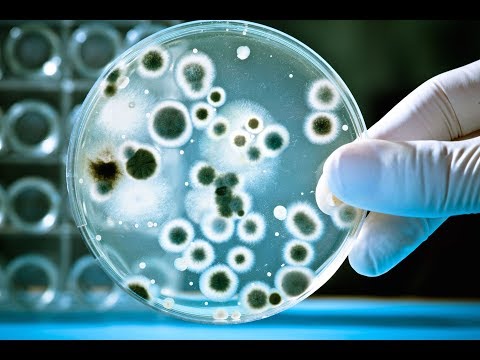 Vídeo: El Microbioma En Medicina De Precisión: El Camino A Seguir