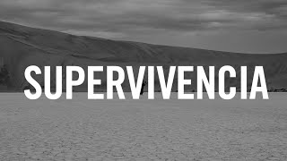 SUPERVIVENCIA