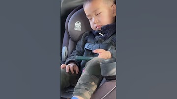 Thumbnail of Car naps are the best! #sleepy #sleeping #nap #tired #cute #funny