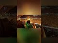 DJ Festival Vibes: Crowd Energy Unleashed LIVE! #shorts