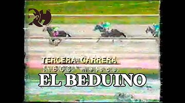 Ese era EL BEDUINO en sus tiempos ganando con Rafael Torrealba, corrio con POLO SUR.