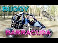 Багги Барракуда  buggy barracuda