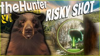 I Took The RISKIEST Bow Shot On A Great One Black Bear! Call of the wild