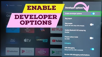 How to Enable or Disable Developer Options in all Android TV