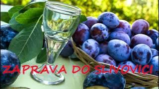 Daniel Piter-Bučko - Zaprava do slivovici /2021 (lyrics)