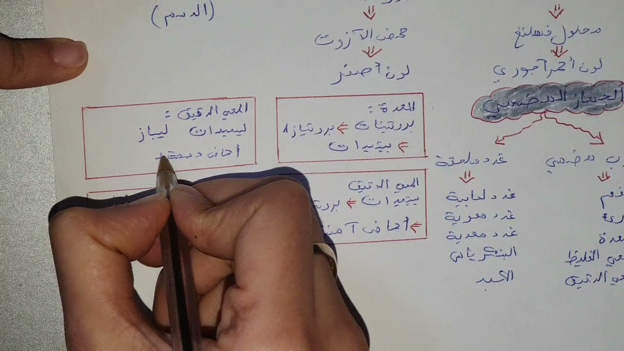 ملخص شامل للفصل الأول علوم طبيعية سنة رابعة متوسط