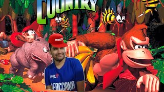 DONKEY MACACO KONG #2