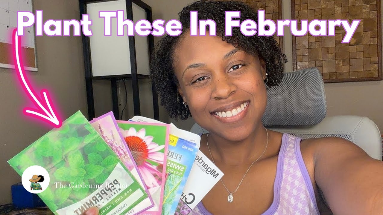 32 Seeds You MUST Start in February | Zone 7B Gardening
