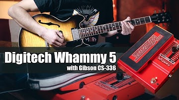 Digitech Whammy 5 with Gibson CS-336 Demo Video