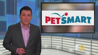 Report: 47 Dogs Died After PetSmart Grooming Over Past Decade