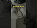 Inventory Planning Toolkit | Reorder Calculator +reel Safety Stock | SupplyChainOS inventory v1