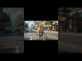 Fat Cat's Bicycle Surprise! 🚲💥😹#shorts #cat